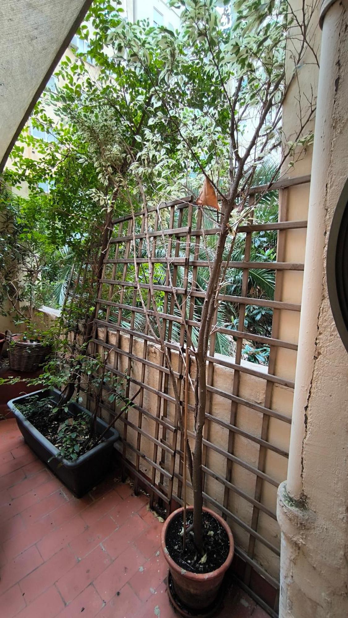 7 Moons B&B Walencja Zewnętrze zdjęcie